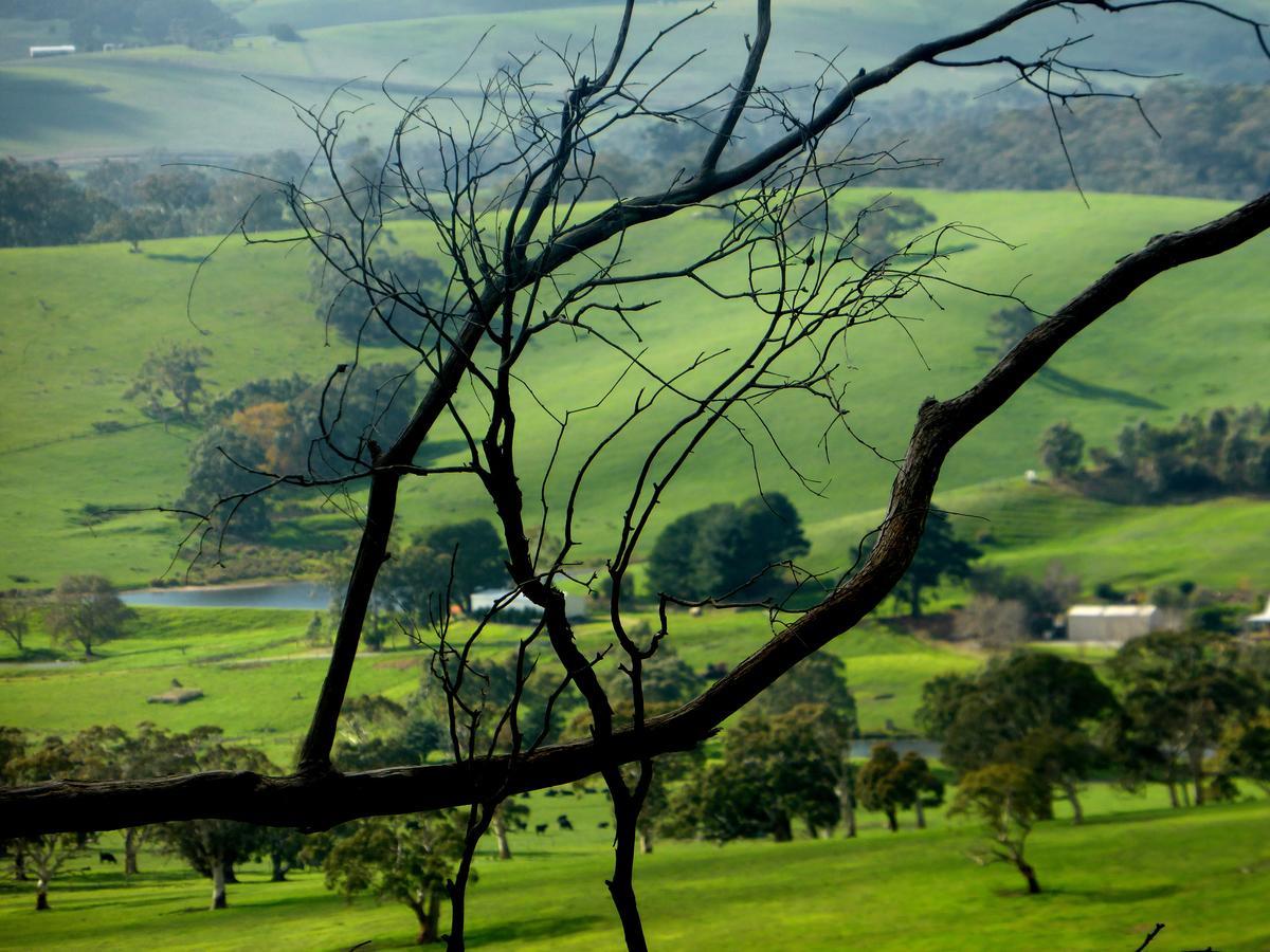 Lure Bed And Breakfast Normanville Exterior photo